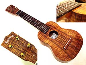 Famous フェイマス FGS-90/G スタンダード ファイングレード グロス